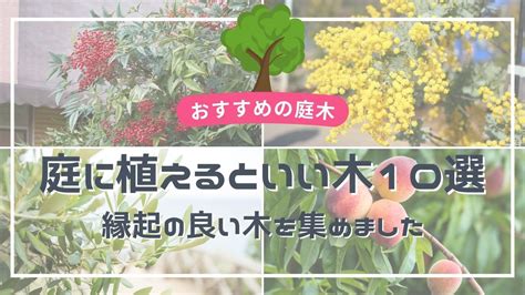 風水 樹木|庭や玄関に植えるといい木10選 【縁起の良い木で風。